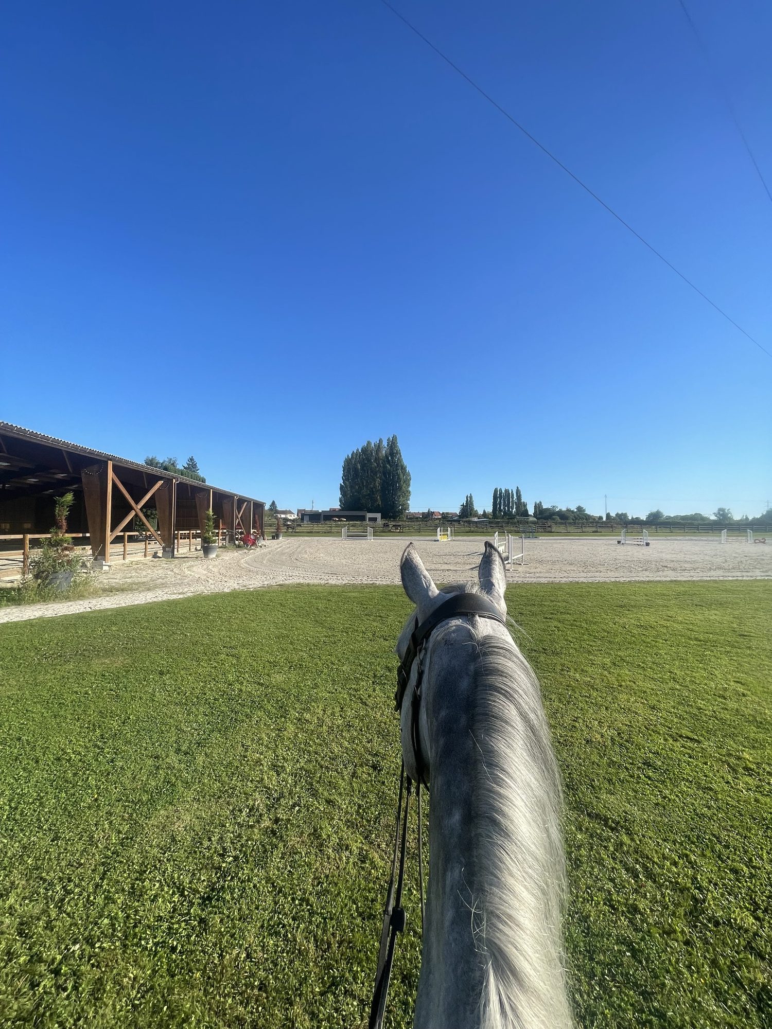 Vue depuis le dos d'un cheval gris longeant la carrière et le manège.