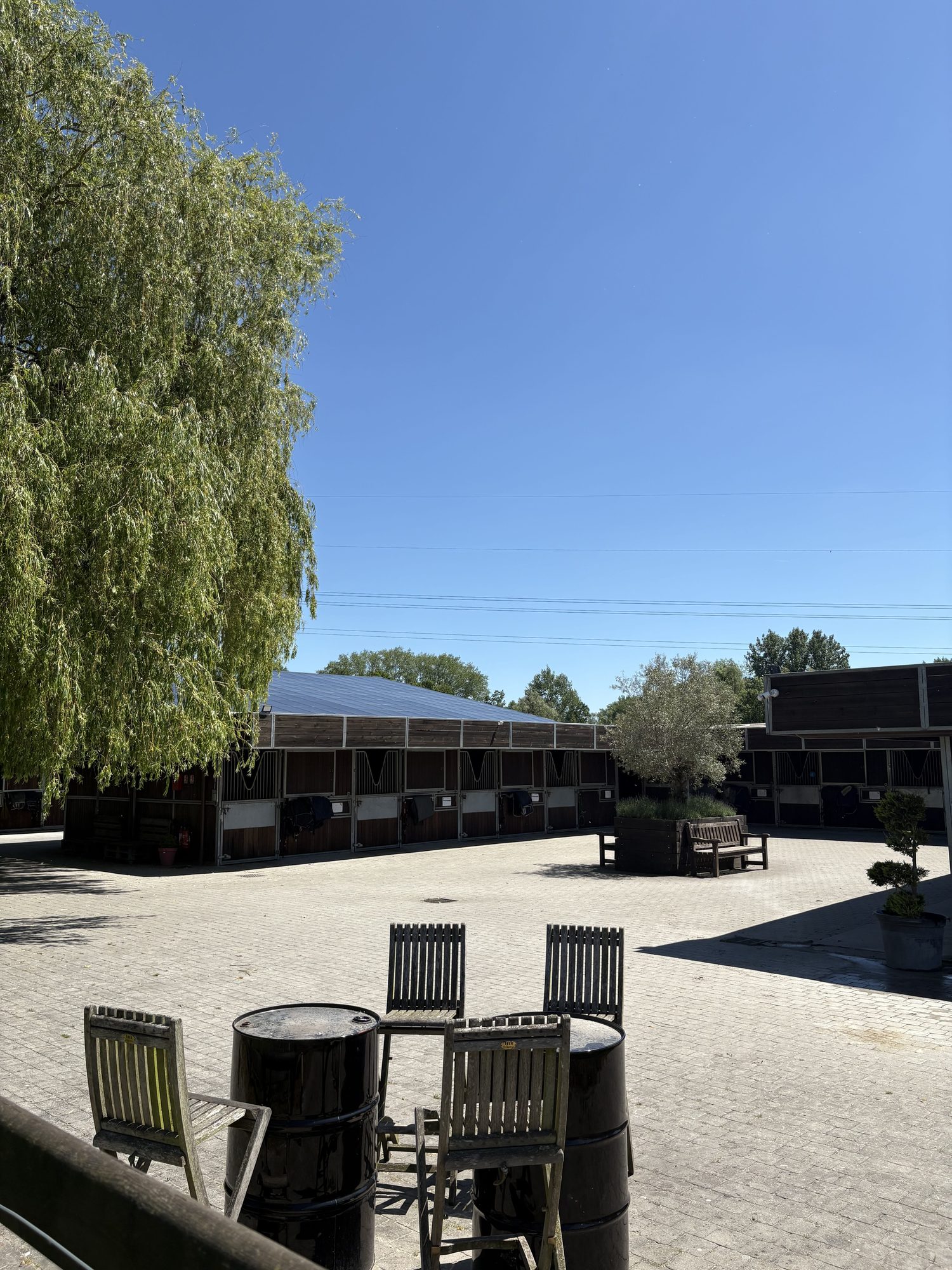Cour pavée avec transats en bois devant les boxes ombragés par un saule.