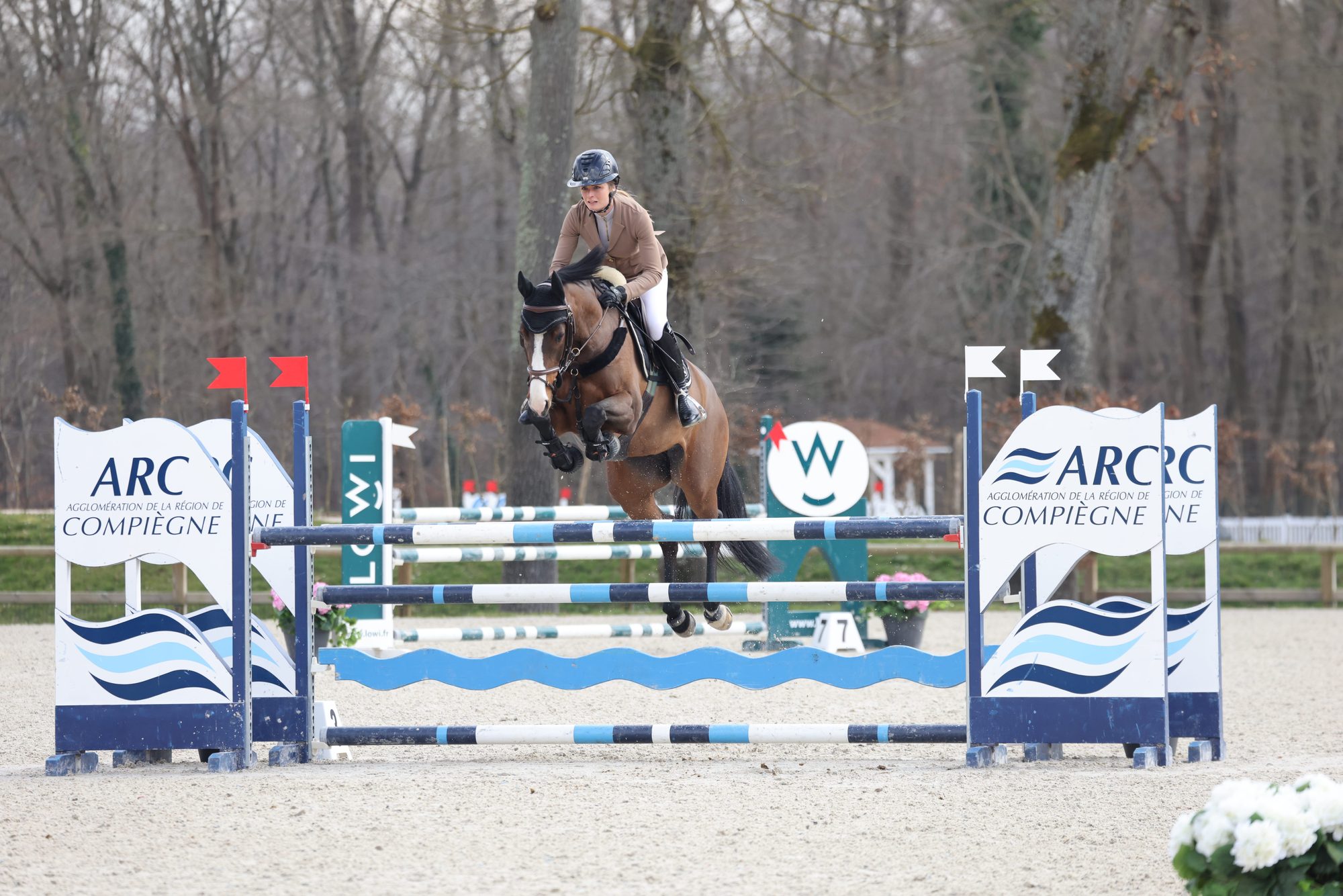 Cavalière et cheval franchissant un obstacle lors d'un concours de saut d'obstacles.