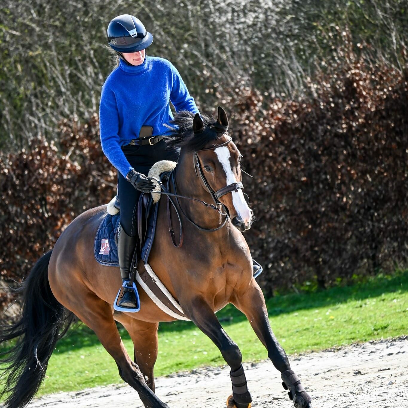 Cavalière au travail montant un cheval bai en dressage sur la carrière.